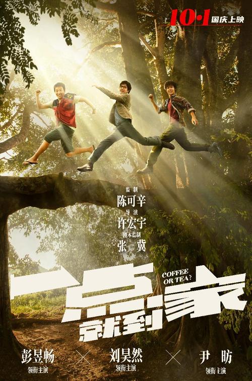 农业银行流水电子版PDF哪里有卖